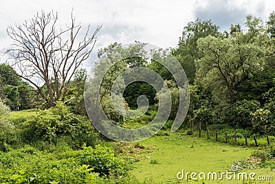 The green semi-natural meadows of the Kauwberg nature reserve , Uccle, Belgium Stock Photo