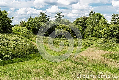 The green semi-natural meadows of the Kauwberg nature reserve , Uccle, Belgium Stock Photo