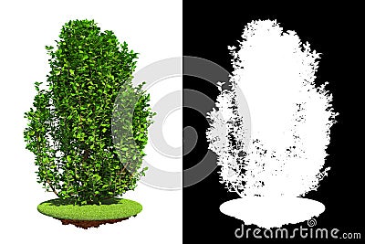 Green Shrub with Detail Raster Mask. Stock Photo