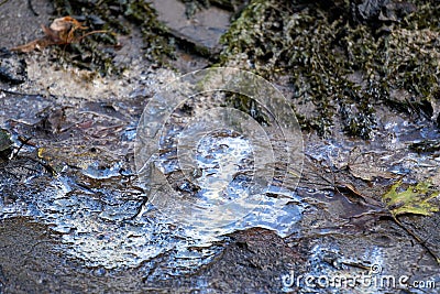 Close up of oil slick on gray wet sand Stock Photo