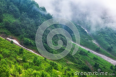 The green slopes of high mountains are hidden in clouds and fog. Melting snow in high mountains in summer Stock Photo