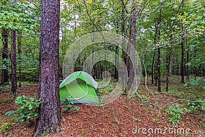 Green small tent camped in forest in Broken Bow Oklahoma Stock Photo