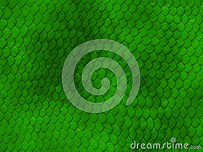 Green snake skin texture Stock Photo