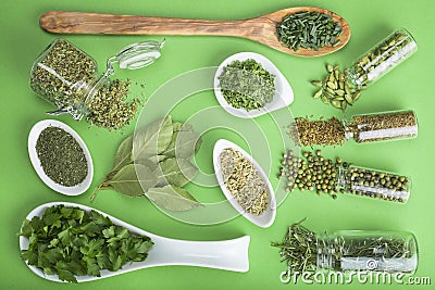 Green spices on a green background Stock Photo