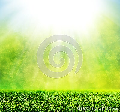 Green spring grass against natural nature blur. Stock Photo