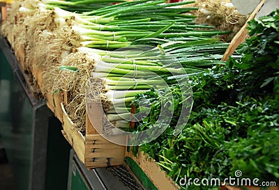 Green spring onion on market Stock Photo