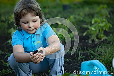 Green Sprout and Children Hands Stock Photo