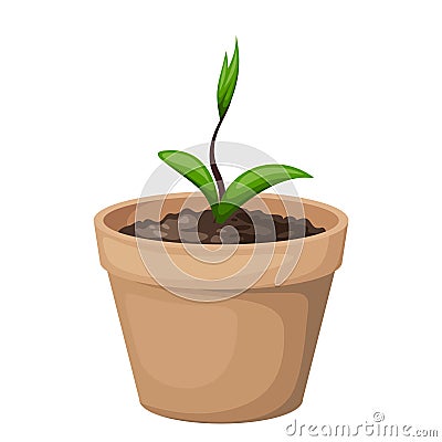 Green sprout in the clay flowerpot. Vector illustration. Vector Illustration