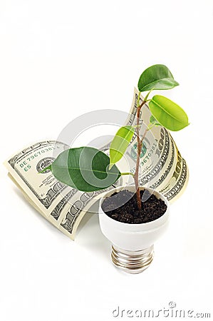 Green sprout on the dollar Stock Photo