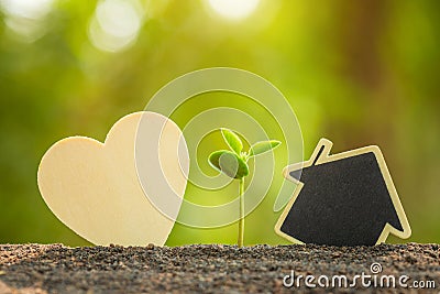 Green sprout growing in soil and wooden heart and house symbol on outdoor sunlight and green blur background. Love tree, Save Stock Photo