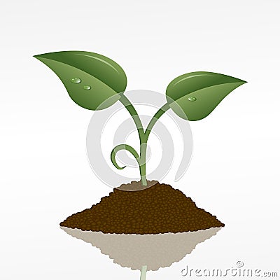 Green sprout Vector Illustration