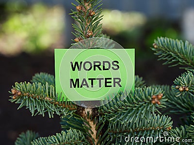 A green sticky note with the phrase Words Matter on it being held up by a fir tree branch Stock Photo