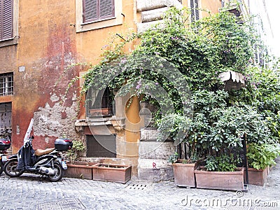 Green street corner in Rome Editorial Stock Photo