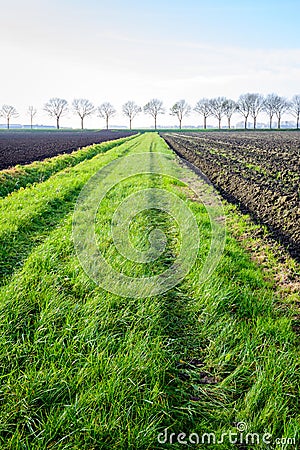 Green strip between fields with tire tracks of a tractor Stock Photo