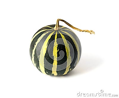 Green striped pumpkin Stock Photo