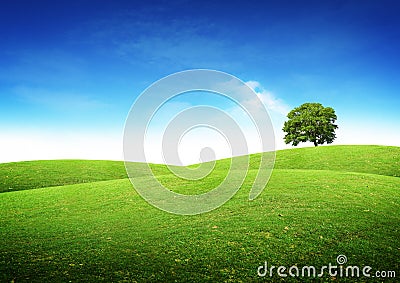 Green Summer Landscape Stock Photo