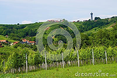 Summer In Lendavske Gorice, Lendava, Slovenia Stock Photo
