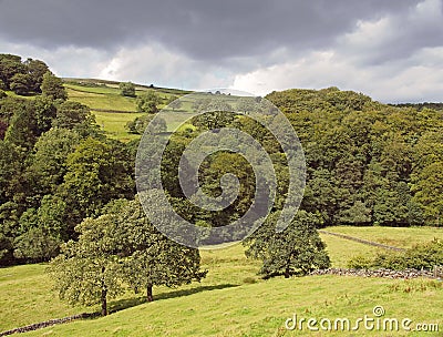 Green sunlit landscape with hillside fields along a tree covered valley with grey clouds in the elphin valley between cragg vale Stock Photo