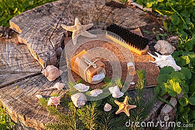 Green sunny view with aqua various shells and starfish near eco-friendly natural cleaners: eco cleaning cloth, natural Stock Photo