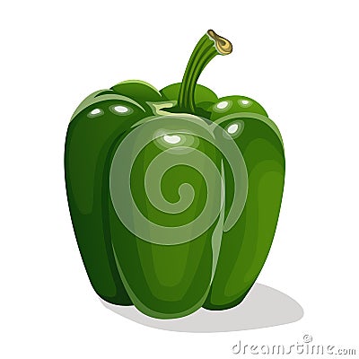 Green sweet bell peppers Vector Illustration