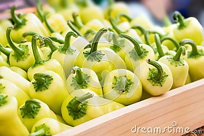 Green sweet pepper Stock Photo