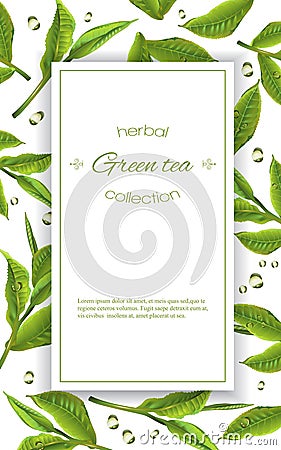 Green tea banner Vector Illustration
