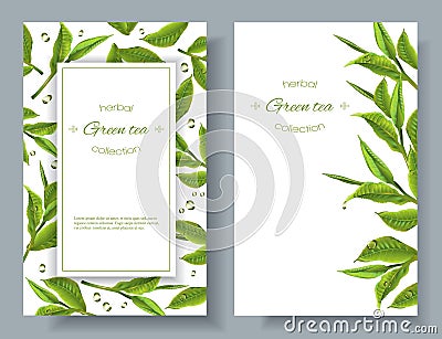 Green tea banners Vector Illustration