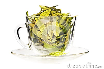 Green tea freshness Stock Photo