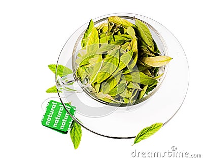 Green tea freshness Stock Photo