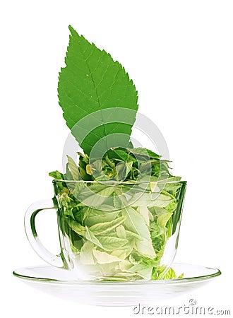 Green tea freshness Stock Photo