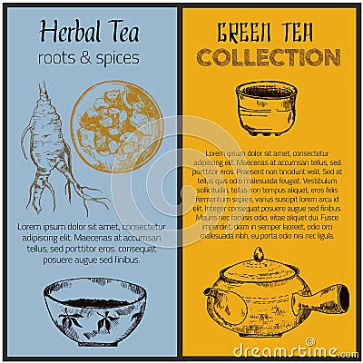 Green tea and health care herbs banners set sketch vector illustration. Tea leaves, chinese teapot, herbs and ginseng Vector Illustration