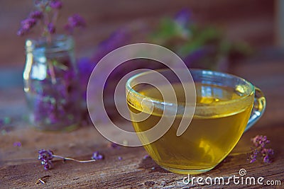 Green tea with herbals. Tea with oregano on the wooden background Stock Photo