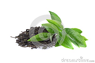 green tea leaf Stock Photo