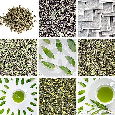Green Tea Leaves Collage, Various Dry Tea Collection Stock Photo