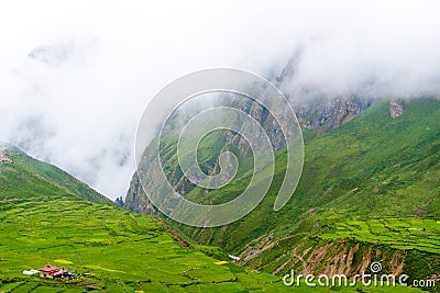 Green terraced fields and traditional architecture in the ancient Tibetan Nar village Stock Photo