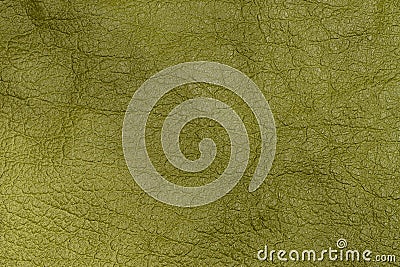 Green textured leather background. Stock Photo