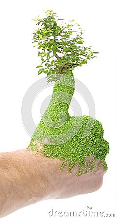 Green thumb Stock Photo