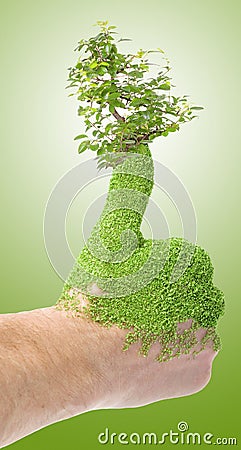 Green thumb Stock Photo