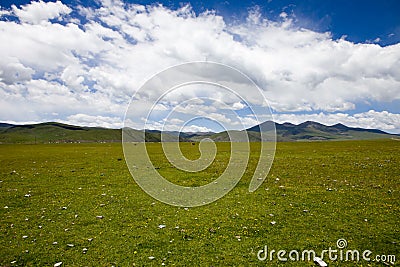 Green Tibet landscape on sunny day with color filter Stock Photo