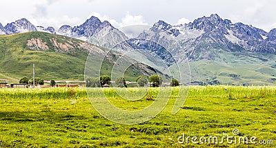 Green Tibet landscape on sunny day with color filter Stock Photo
