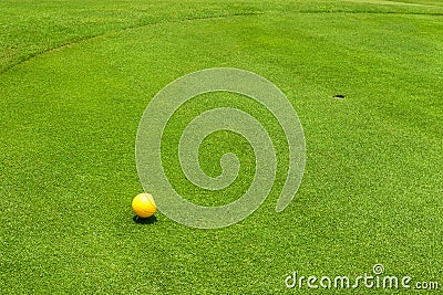 Close up golf Stock Photo