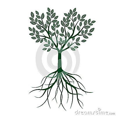 Green Tree with Leafs and roots. Vector Illustration. Vector Illustration