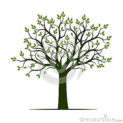 Green Tree with Leaves and Roots. Vector Illustration Vector Illustration