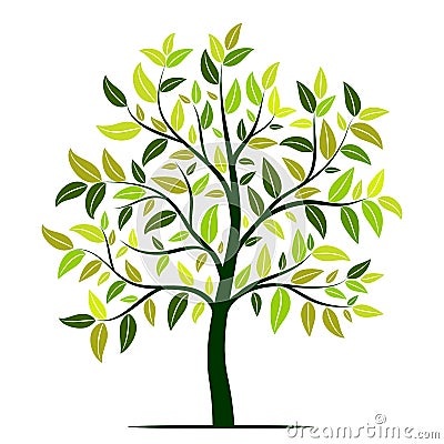 Green tree with leaves vector Vector Illustration