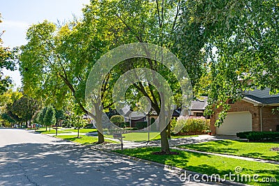 Green Tree Lined Street at a Suburban Midwestern Neighborhood with Homes Stock Photo