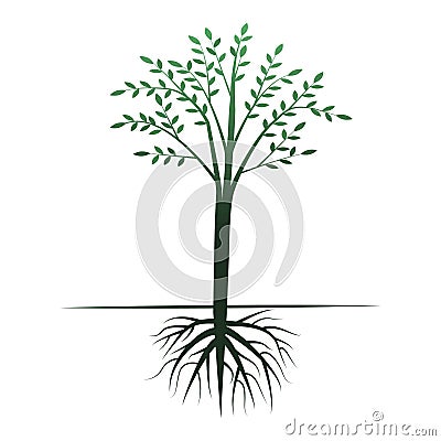 Green tree on a long pillar with root and crown Stock Photo