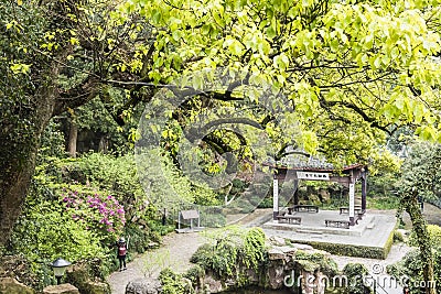 green tree and pavilion Editorial Stock Photo