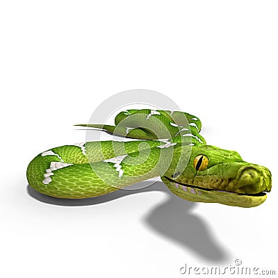 Green tree python Stock Photo