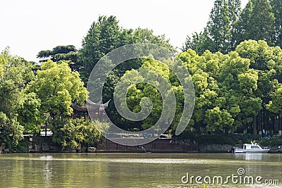 green tree and Qinghai river Editorial Stock Photo