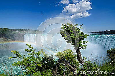 Green tree, rainbow and Niagara falls Editorial Stock Photo